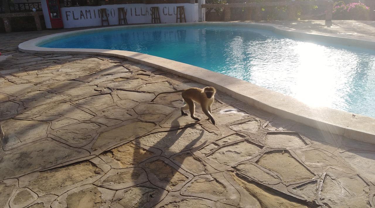 Flamingo Villas Resort Malindi Esterno foto