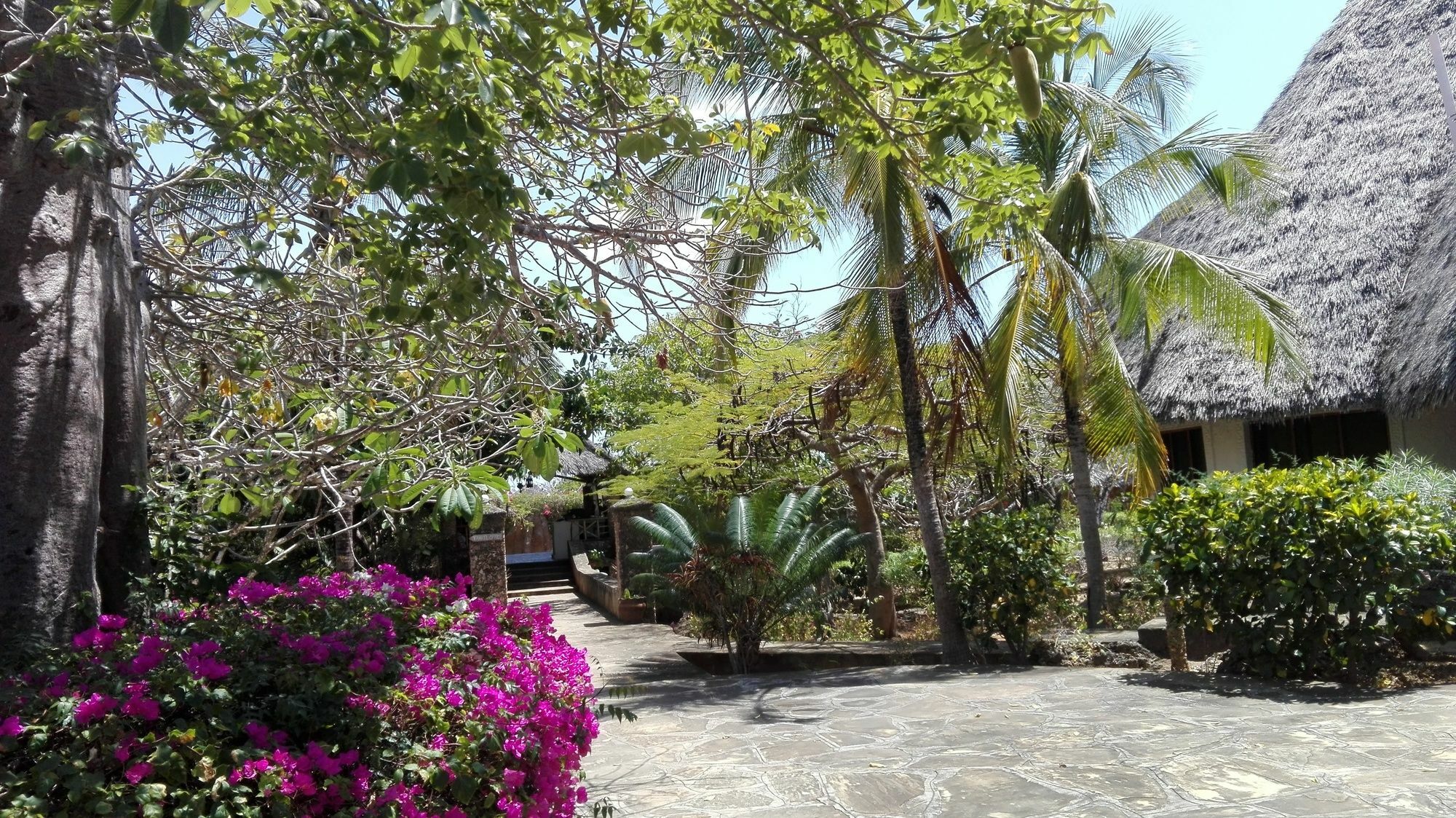 Flamingo Villas Resort Malindi Esterno foto