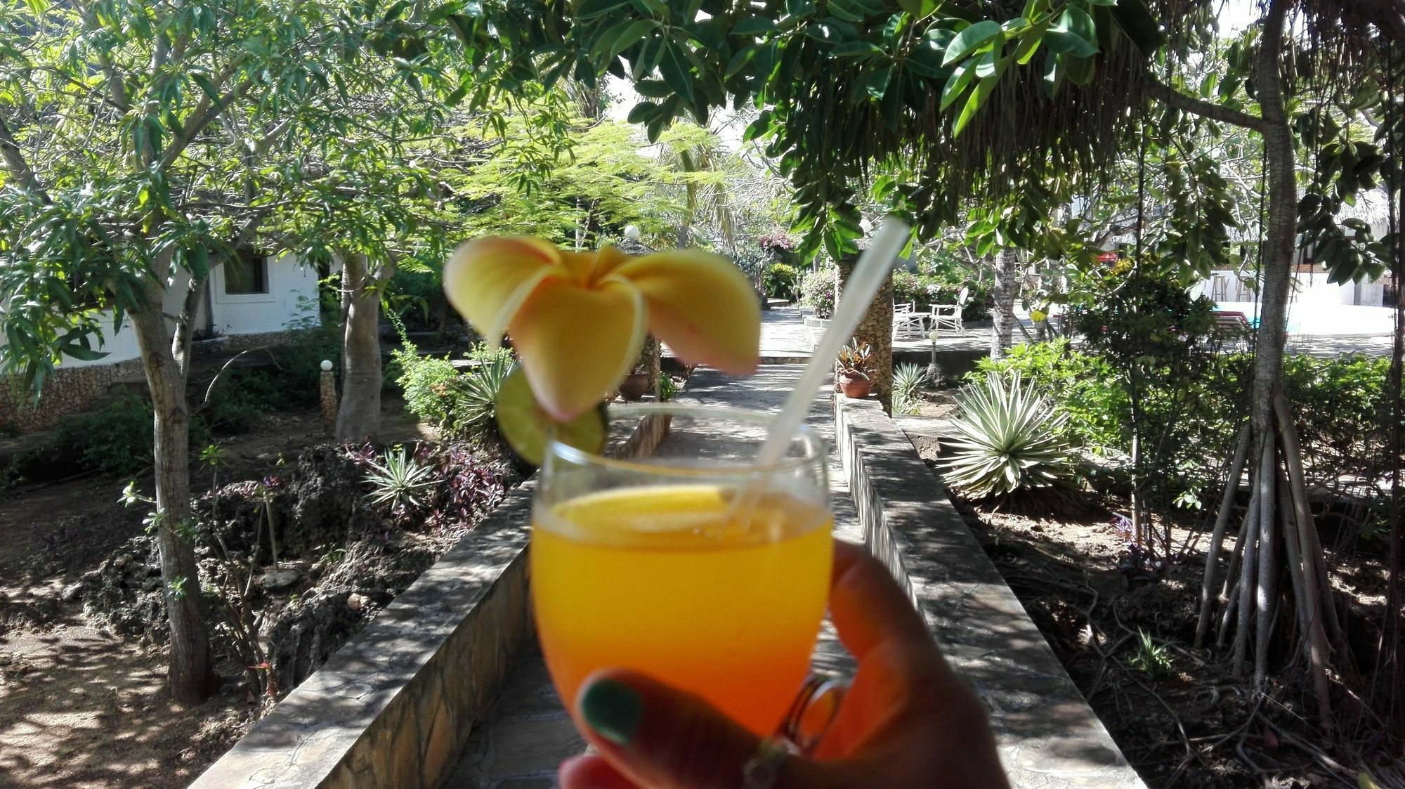Flamingo Villas Resort Malindi Esterno foto